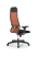 Кресло для руководителя Метта Sit 10 B1-111D - X2+UMF(X1) /Ub00/Wh00/D02P(M09.B02.G15.W01)