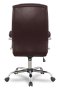 College BX-3001-1/Коричневый
