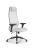 Кресло для руководителя Метта Sit 10 B1-115D - X2+Extra /Um00/Wm12/D02P(M09.B11.G19.W02)