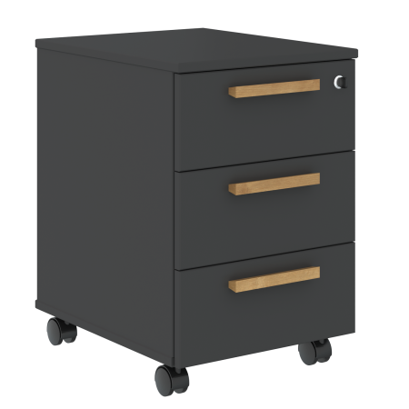 FMC_3D_Tumba_mobil_naya_grafit_buk.png