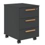FMC_3D_Tumba_mobil_naya_grafit_buk.png