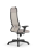 Кресло для руководителя Метта Sit 10 B1-115D - X2+Extra /Um00/Wm12/D02P(M09.B02.G15.W01)