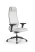 Кресло для руководителя Метта SynchroSit 10 B1-115D - X2+Extra /Um00/Wm12/D02P(M23.B11.G19.W02)