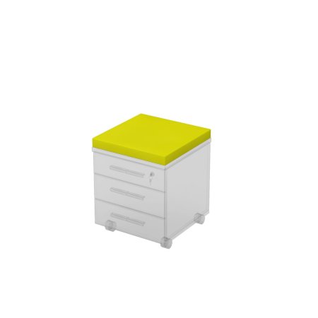 9PT.001_zheltyy.jpg