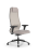 Кресло для руководителя Метта SynchroSit 10 B1-115D - X2+Extra /Um00/Wm12/D02P(M23.B11.G19.W02)