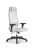 Кресло для руководителя Метта Sit 10 B1-115D - X2+Extra /Um00/Wm12/D02P(M09.B02.G15.W01)