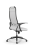 Кресло для руководителя Метта Sit 10 B1-117U - Extra /Um02/Wm12/U0mL-b(M09.B11.G19.W02)