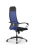 Кресло для руководителя Метта Sit 10 B1-111K - X2+UMF(X1) /Ub00/Wh00/K1bL(M09.B11.G19.W02)