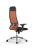 Кресло для руководителя Метта Sit 10 B1-111D - X2+UMF(X1) /Ub00/Wh00/D02P(M09.B23.G18.W01)