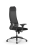 Кресло для руководителя Метта Sit 10 B1-111D - X2+UMF(X1) /Ub00/Wh00/D02P(M09.B11.G19.W02)